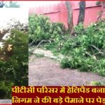 पीटीसी परिसर में हेलिपैड बनाने के नाम पर इंदौर निगम ने की बड़े पैमाने पर पेड़ों की कटाई