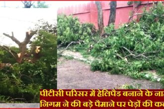 पीटीसी परिसर में हेलिपैड बनाने के नाम पर इंदौर निगम ने की बड़े पैमाने पर पेड़ों की कटाई