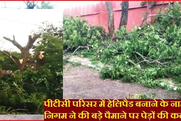पीटीसी परिसर में हेलिपैड बनाने के नाम पर इंदौर निगम ने की बड़े पैमाने पर पेड़ों की कटाई