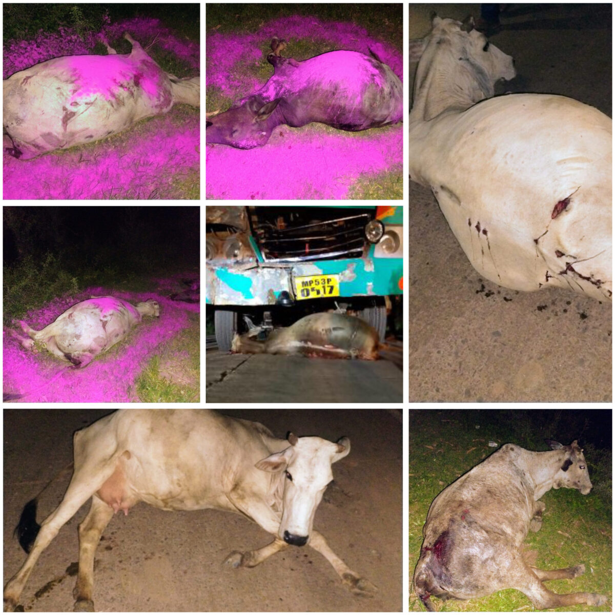 तेजगढ़ में नशेड़ी बस चालक का तांडव